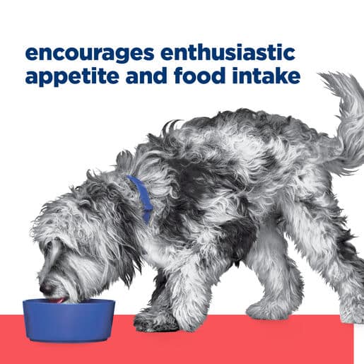 052742058139-15 hill's prescription diet onc care dog chicken & vegetable stew 354g