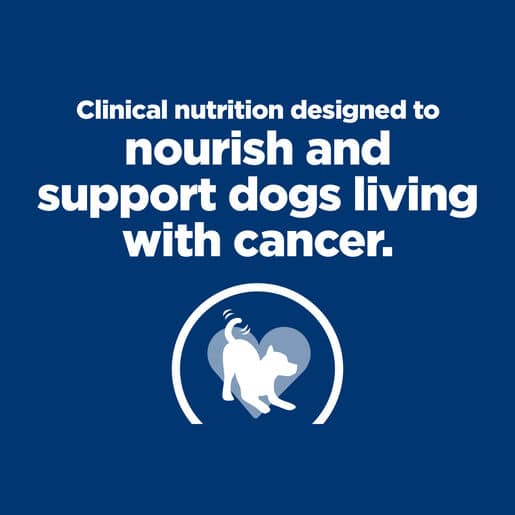 052742058139-8 hill's prescription diet onc care dog chicken & vegetable stew 354g