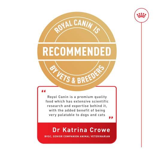 3182550743228-15 royal canin shih tzu adult dog food