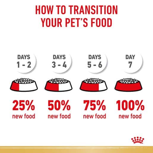 3182550743228-16 royal canin shih tzu adult dog food