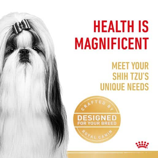 3182550743228-8 royal canin shih tzu adult dog food