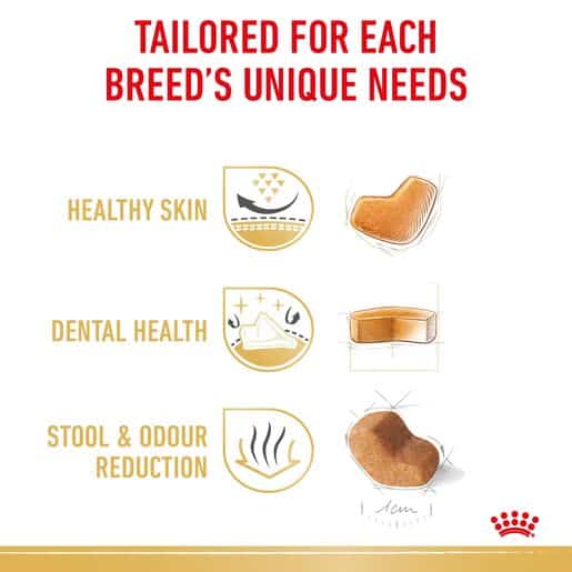 3182550743228-9 royal canin shih tzu adult dog food