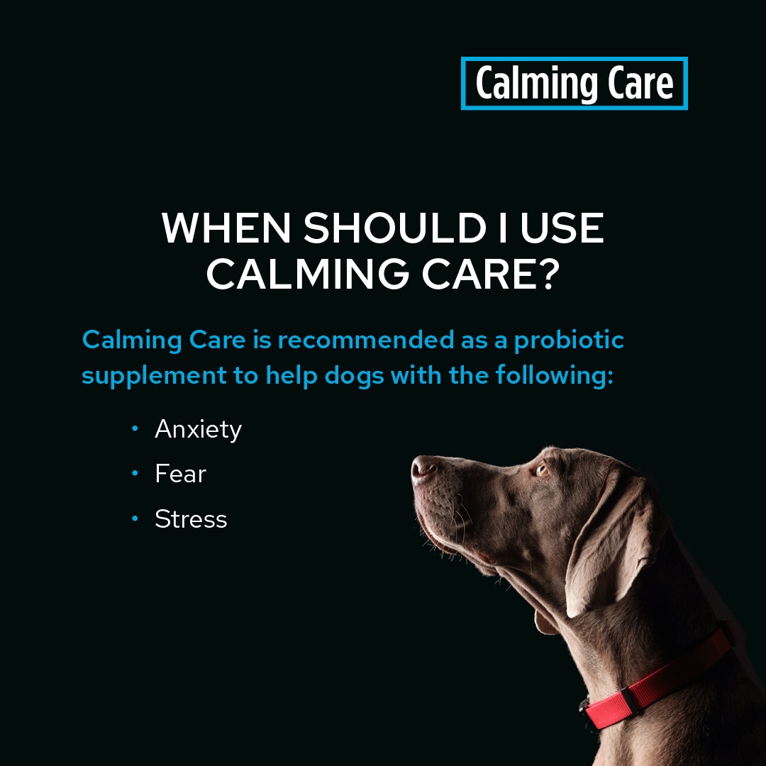 38100195470-9 pro plan canine calming care 30 x 1g