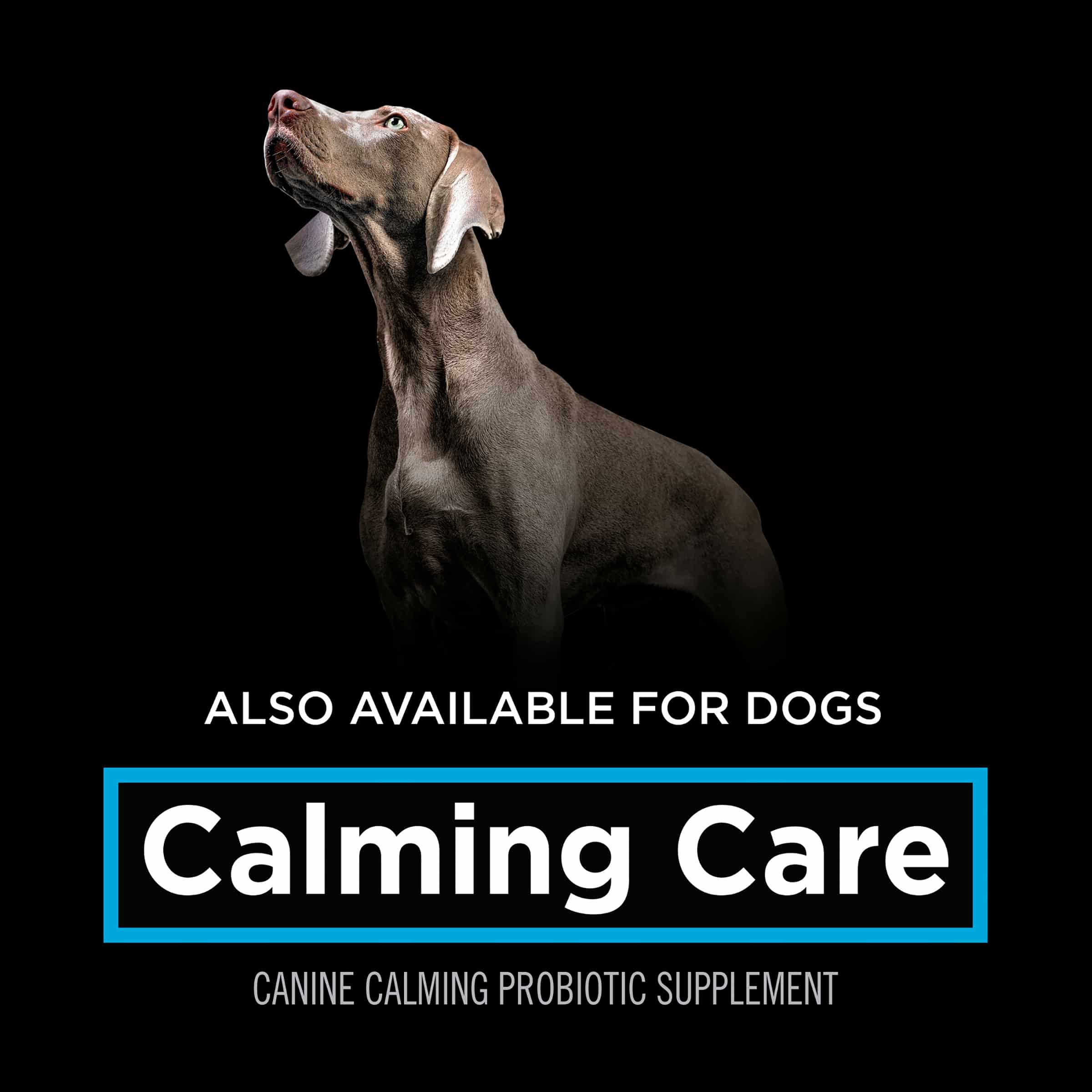 38100195494-15 pro plan canine calming care 30 x 1g