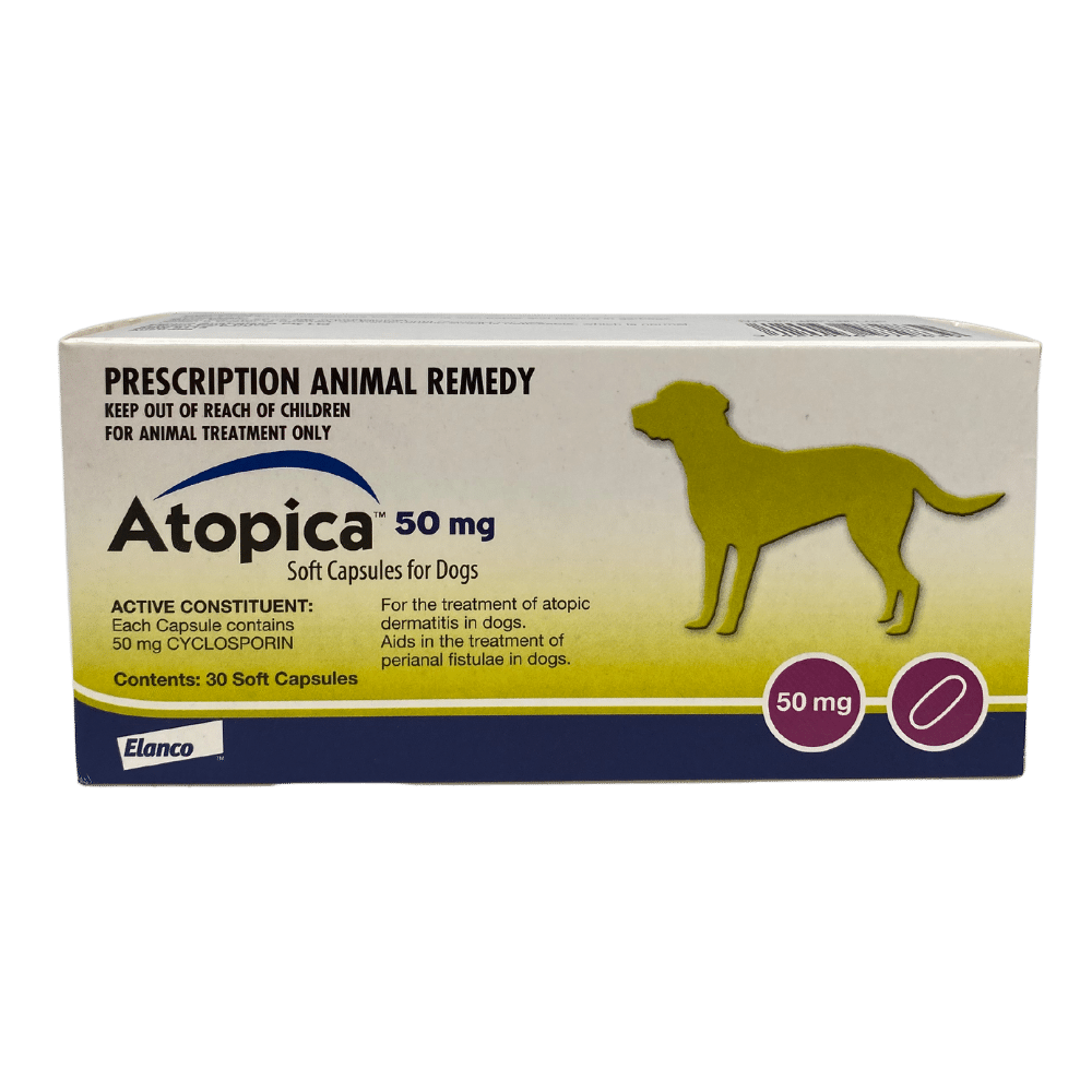 Humane Society Lost Pet Listings Lost And Found Pets Nwa Lost And