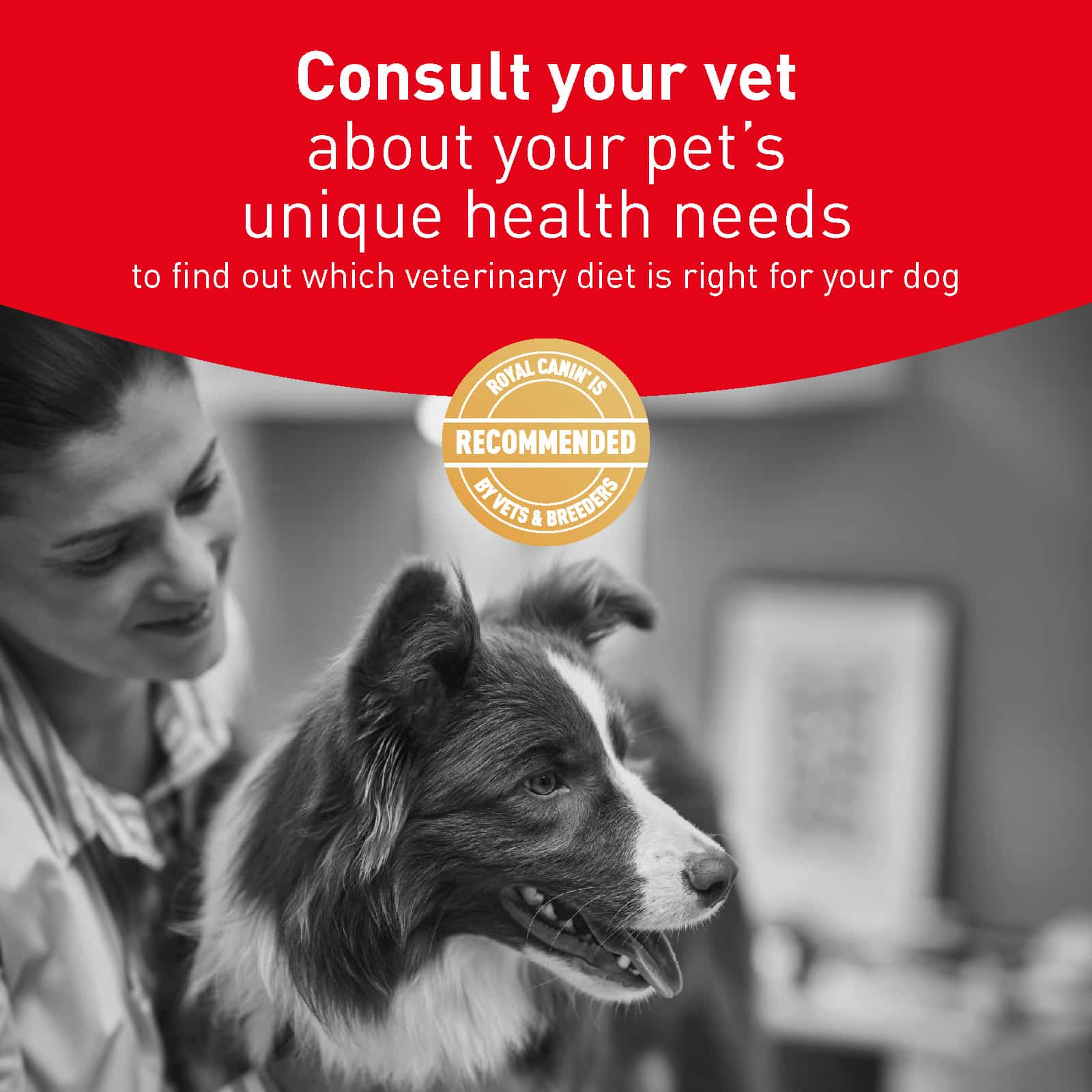 4471-RC1435-PDS-VHN-VET-GLYCOBALANCE-DOG-DRY-4086_Page_2 royal canin veterinary glycobalance dry dog food