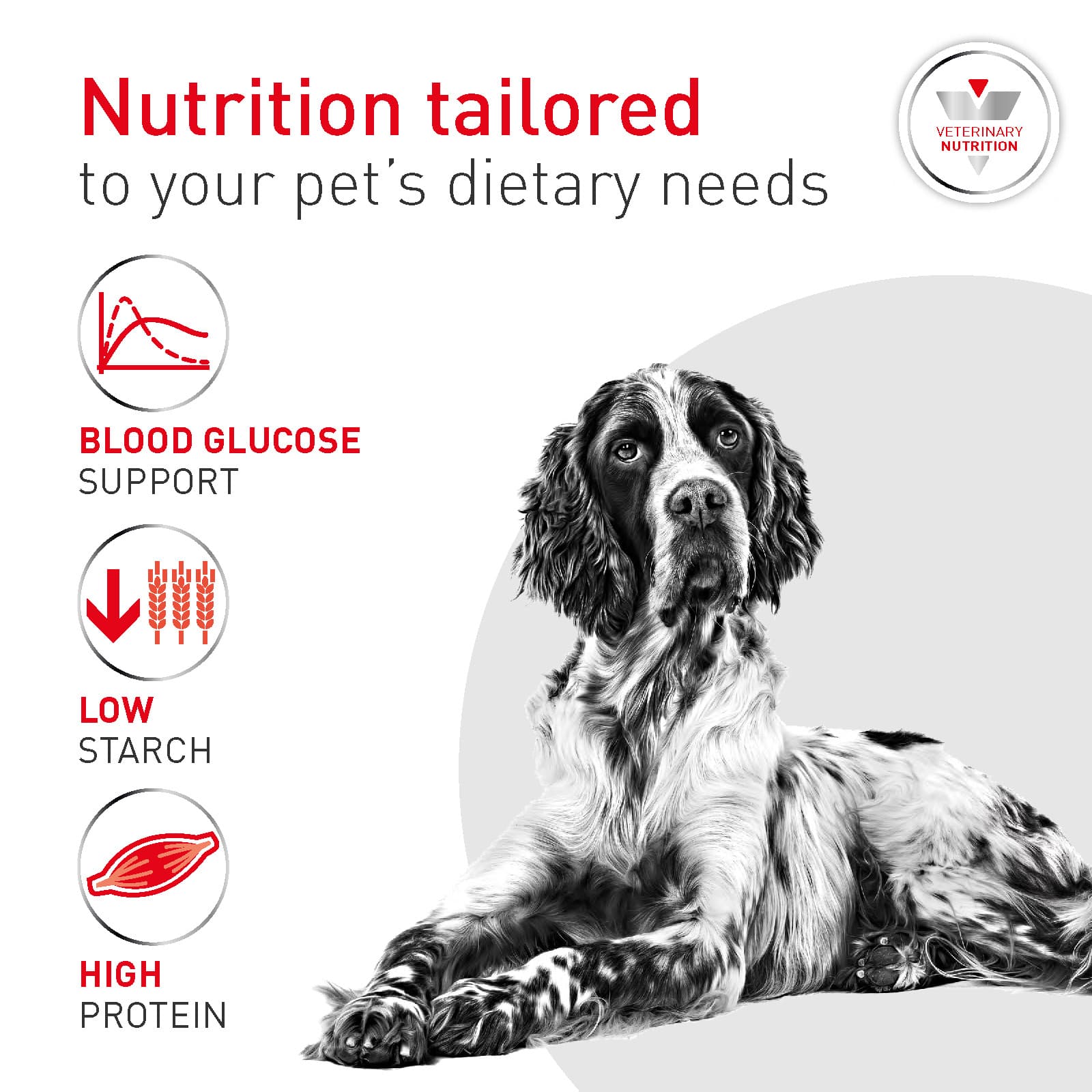 4471-RC1435-PDS-VHN-VET-GLYCOBALANCE-DOG-DRY-4086_Page_3 royal canin veterinary glycobalance dry dog food