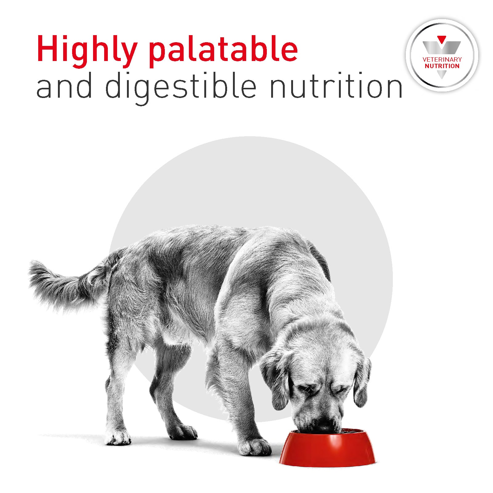 4471-RC1435-PDS-VHN-VET-GLYCOBALANCE-DOG-DRY-4086_Page_4 royal canin veterinary glycobalance dry dog food