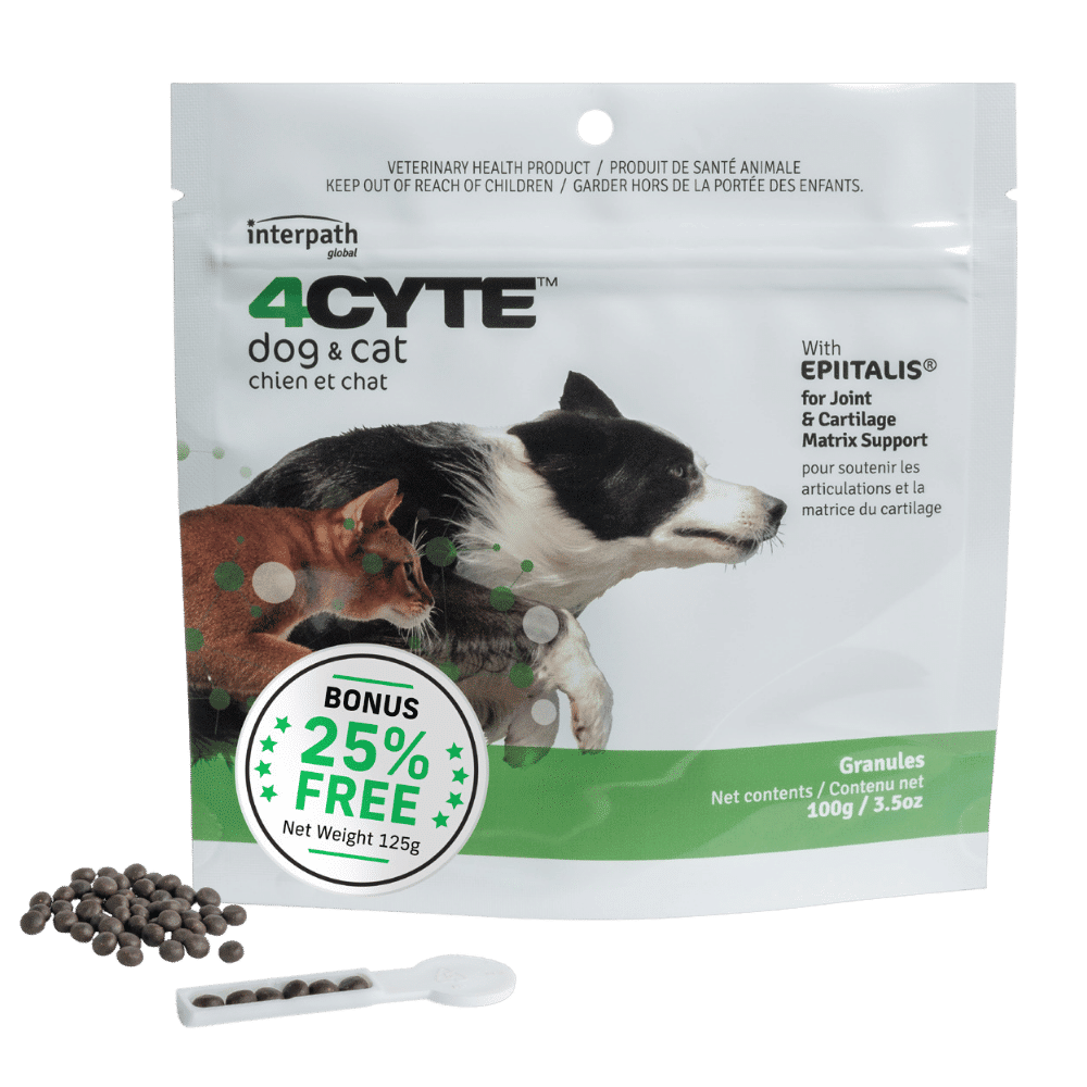 4cyte granules for dogs and cats 125g (limited time bonus size)