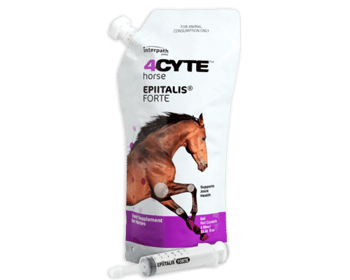 4cyte 1litre equine gel