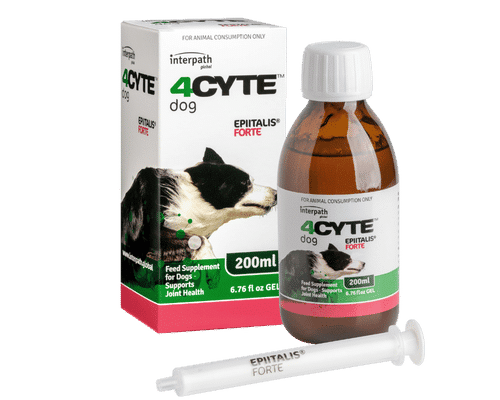 4cyte 200ml canine gel