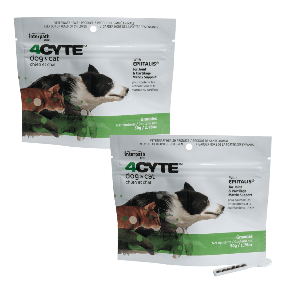 4cyte granules for dogs and cats 100g (2x50g) clearance