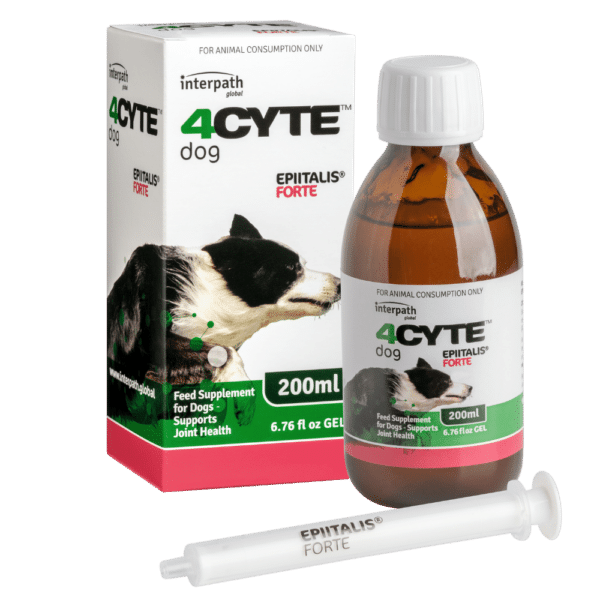 4CYTE Epiitalis Forte Gel for Dogs 200ml