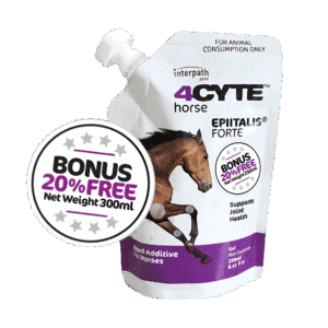 4cyte equine epiitalis forte gel 300ml bonus size