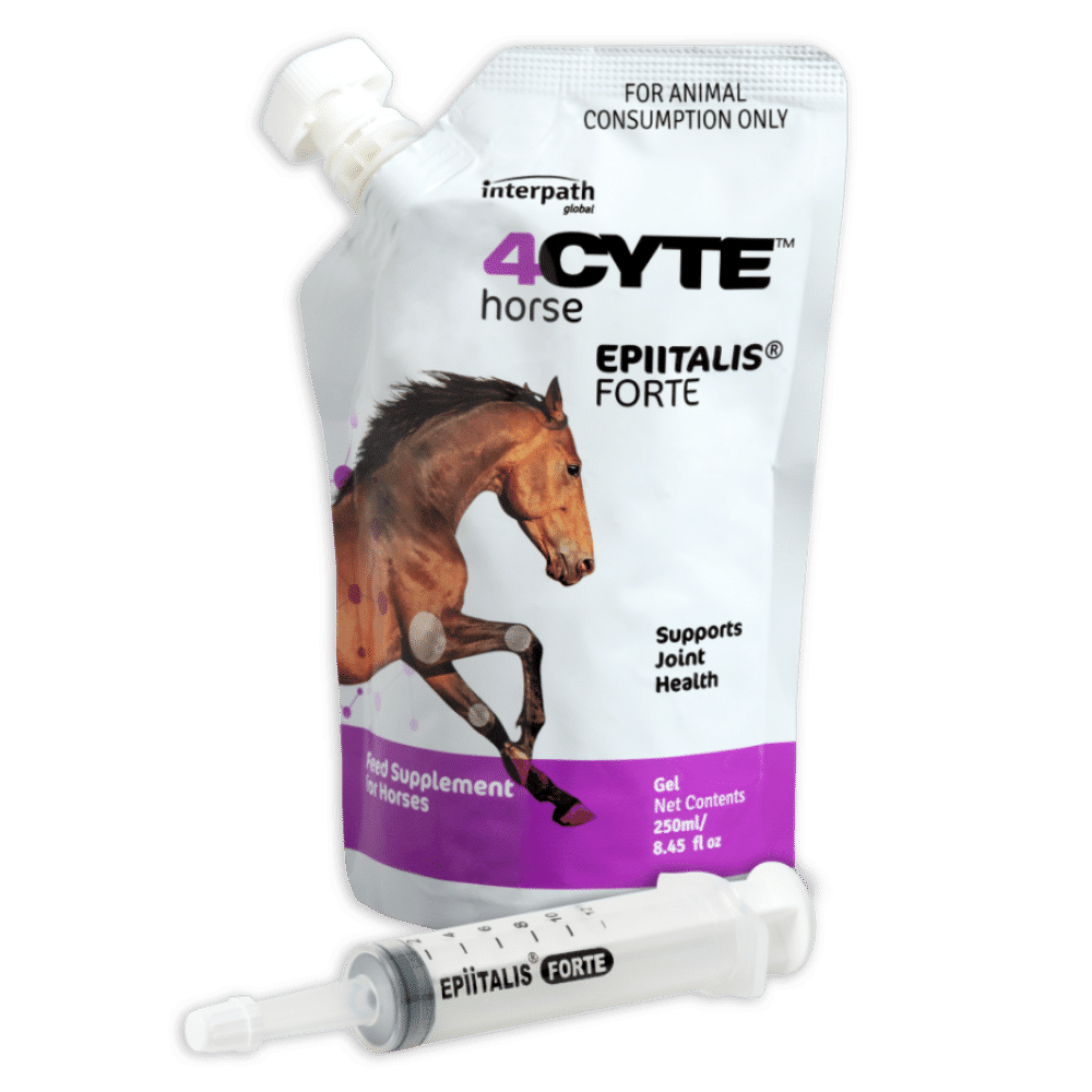 4CYTE Epiitalis Forte Equine Gel 250ml Buy Online from Vet Post NZ
