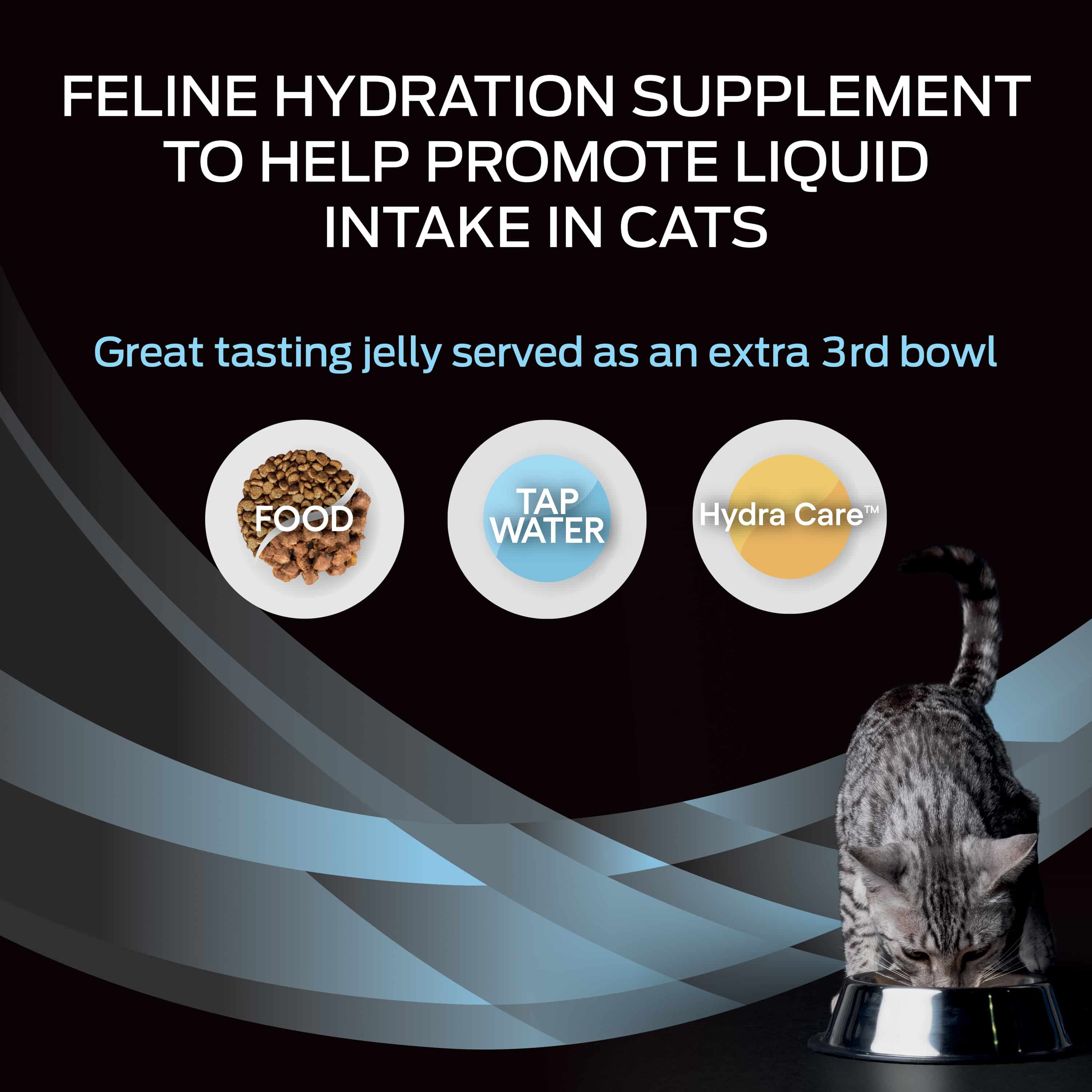 E-Content v2 pathed purina pro plan feline hydra care supplement 12 x 85g