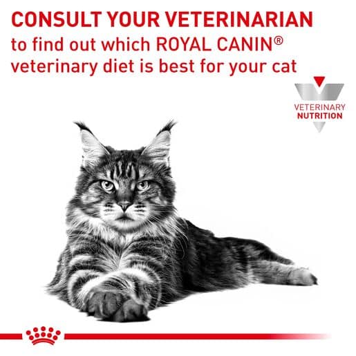 9003579000519-12 royal canin feline renal with fish 85g sachets