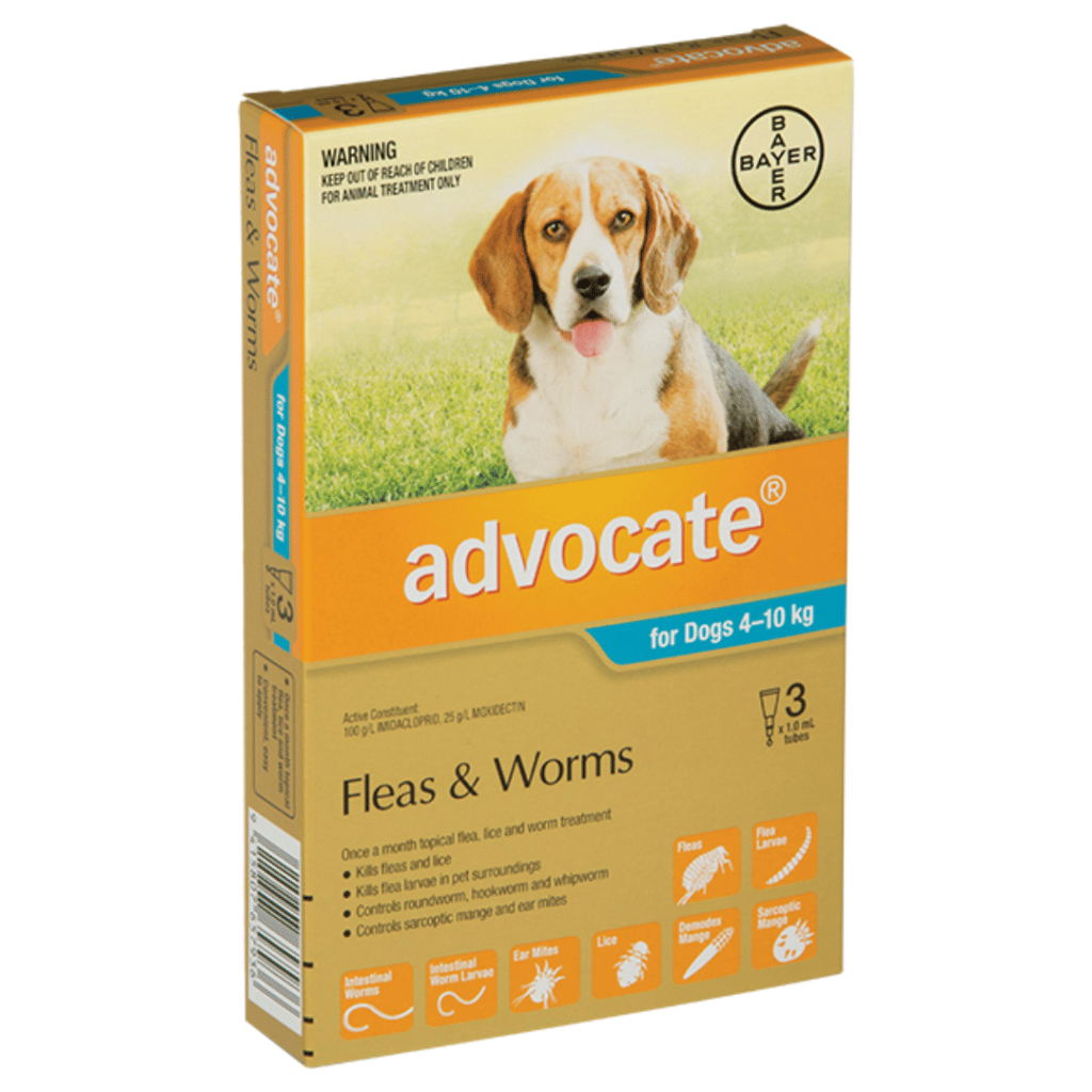 Advocate Medium Dog (410kg) Flea and Worm Treatment 3 Pack Buy