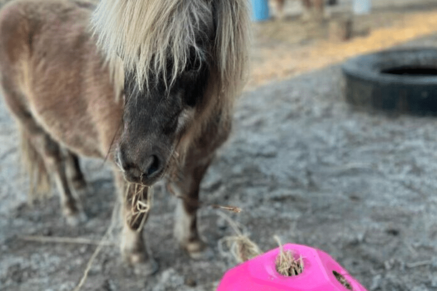 article image sizing 900 x 600 px (1)