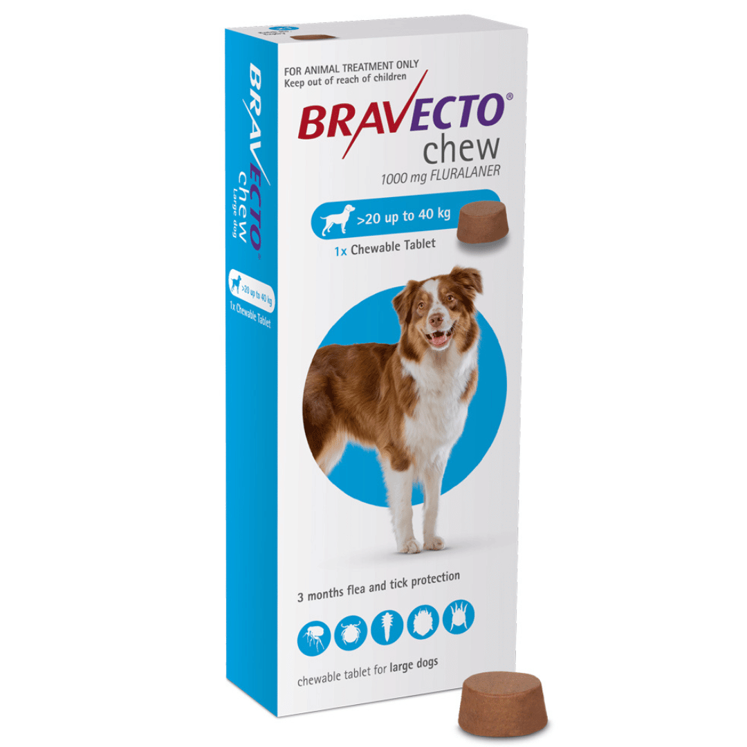 Bravecto Large Dog Flea Treatment 2040kg Chew Buy Online from Vet