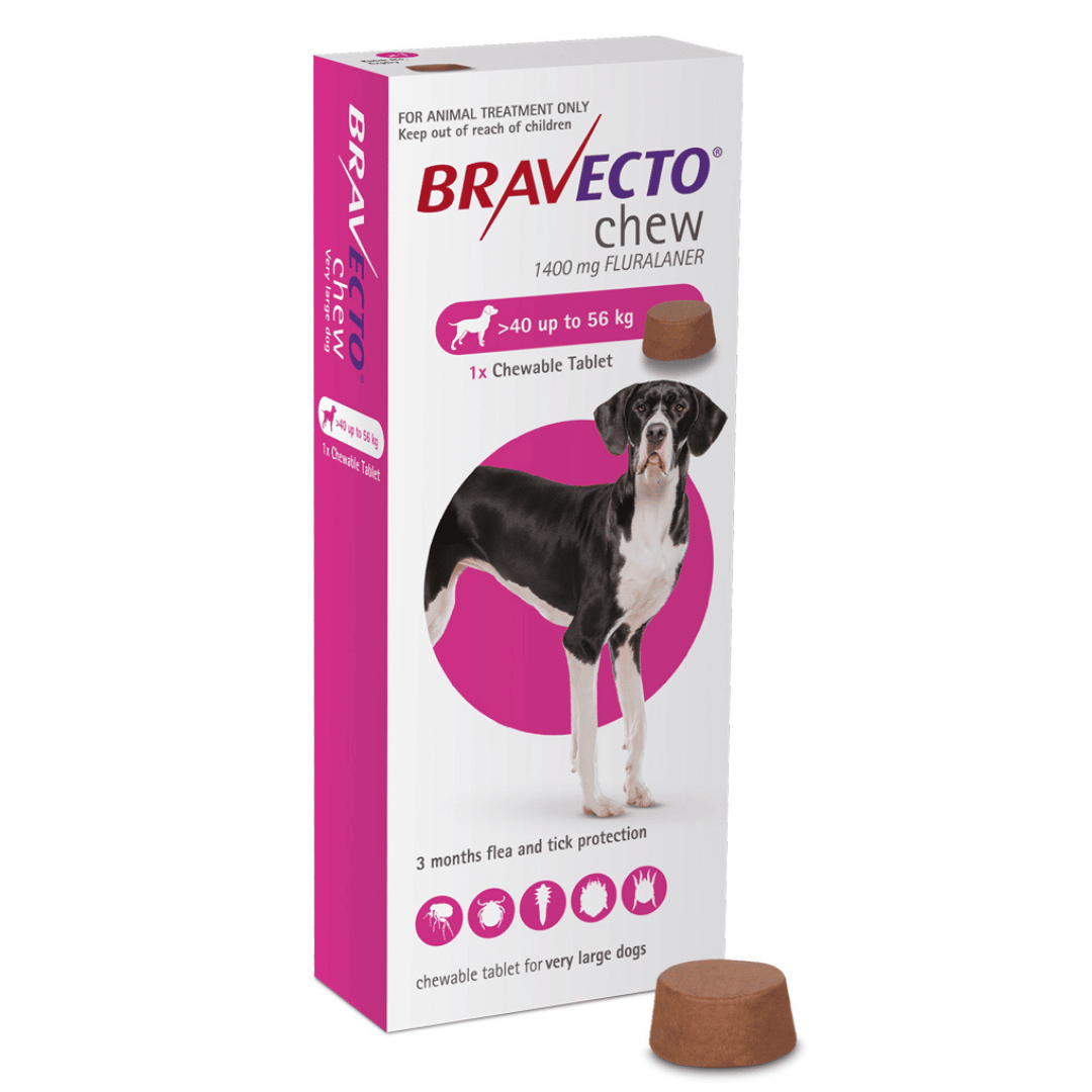 Bravecto XLarge Dog Flea Treatment 4056kg Chew Buy Online from Vet