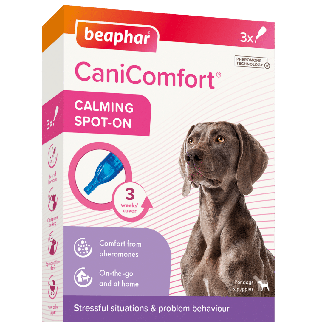 canicomfort spot on 3x1ml