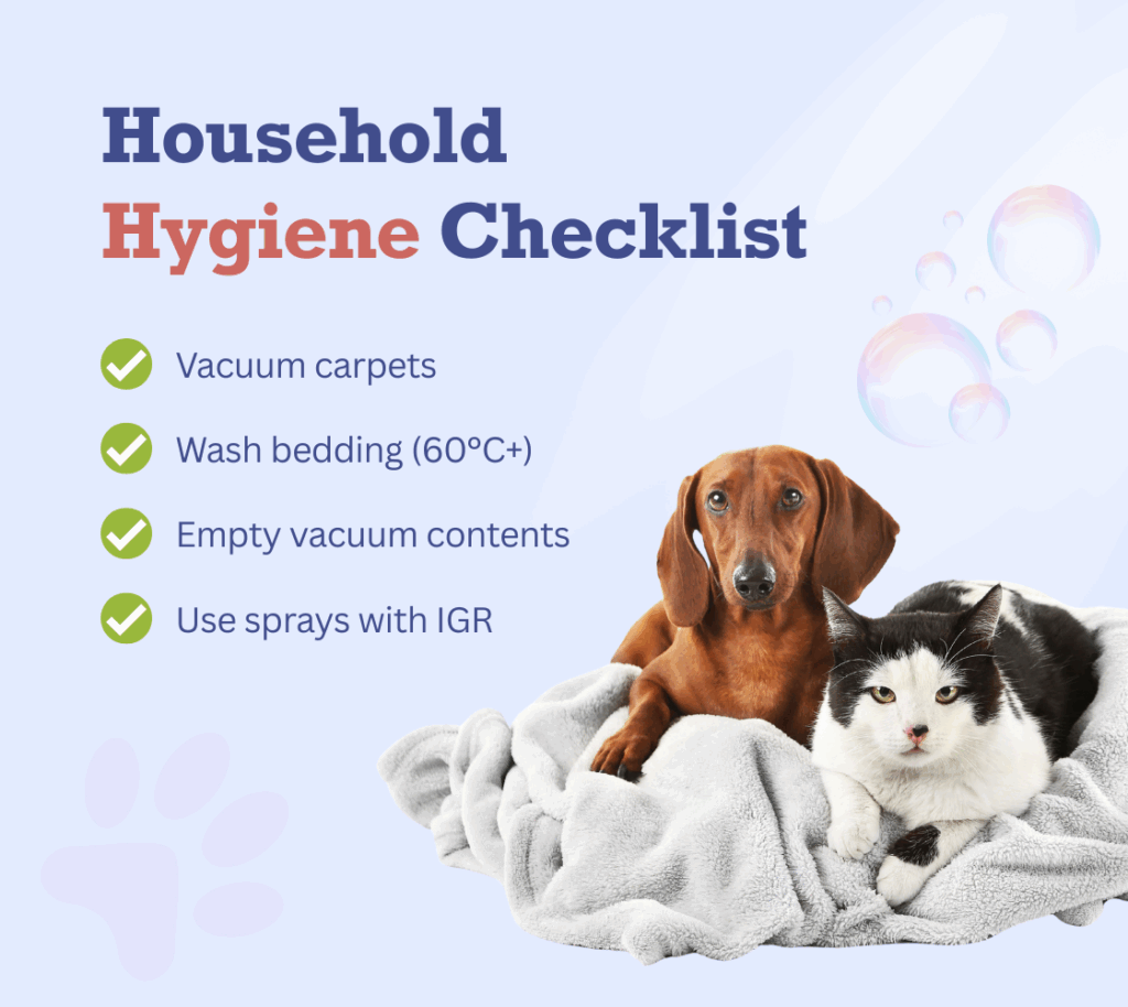 Flea Prevention Tips For New Zealand Dog Owners | Vetpost - Flea Prevention Methods For New Pet Owners