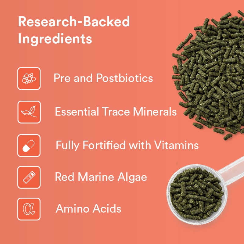 DB _ NZ Ingredient Gallery Tile daily balance 4kg (was digestive vm)
