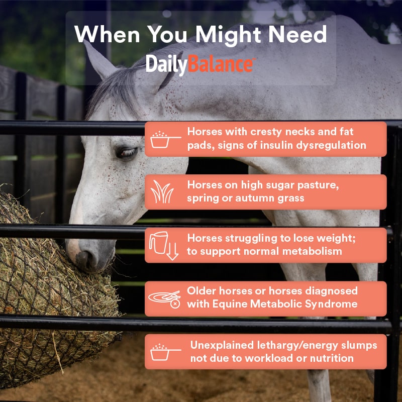 DB _ NZ When to use Gallery Tile daily balance 4kg (was digestive vm)