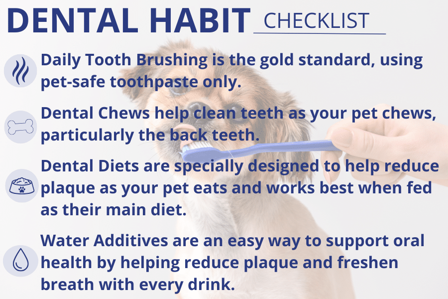 dental habit