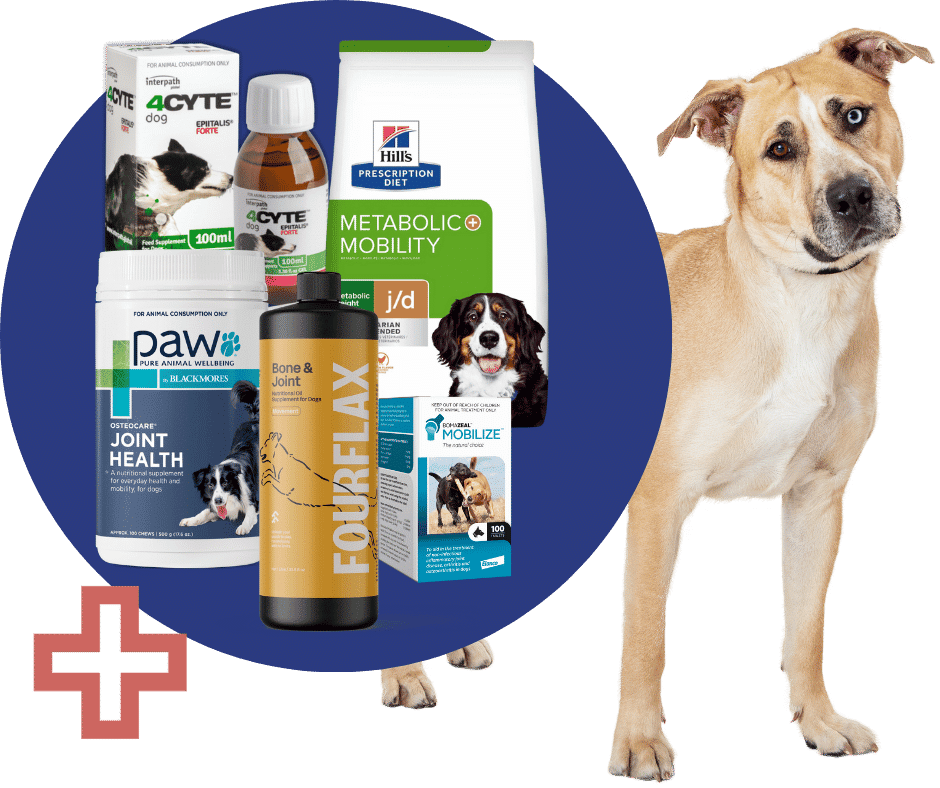 dog joint products