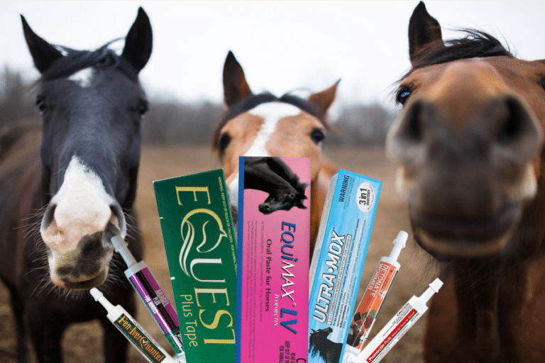 Horse Wormer Availability Update May 2024 What's In Stock and What's