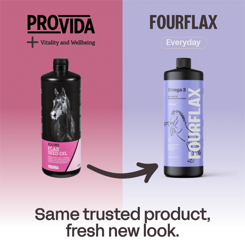 Equine flax seed oil transition slide flax seed oil for horses