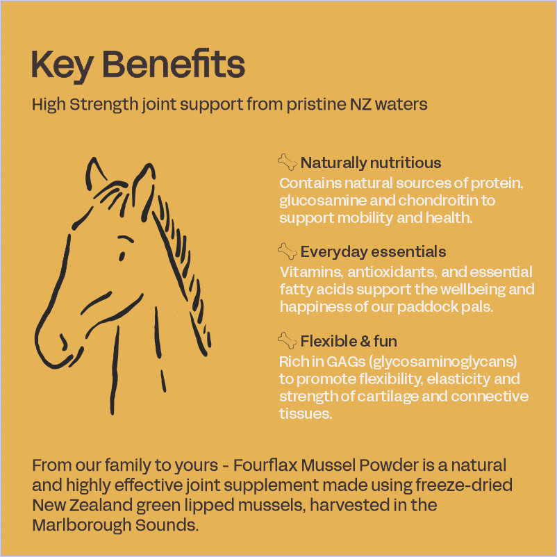 Equine mussel powder benefits fourflax equine mussel powder 400g