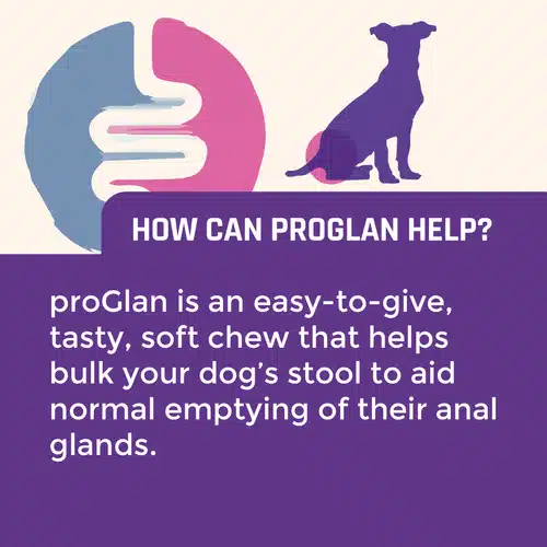 Facebook+Tiles+ProGlan-06 proglan chews 30 pack