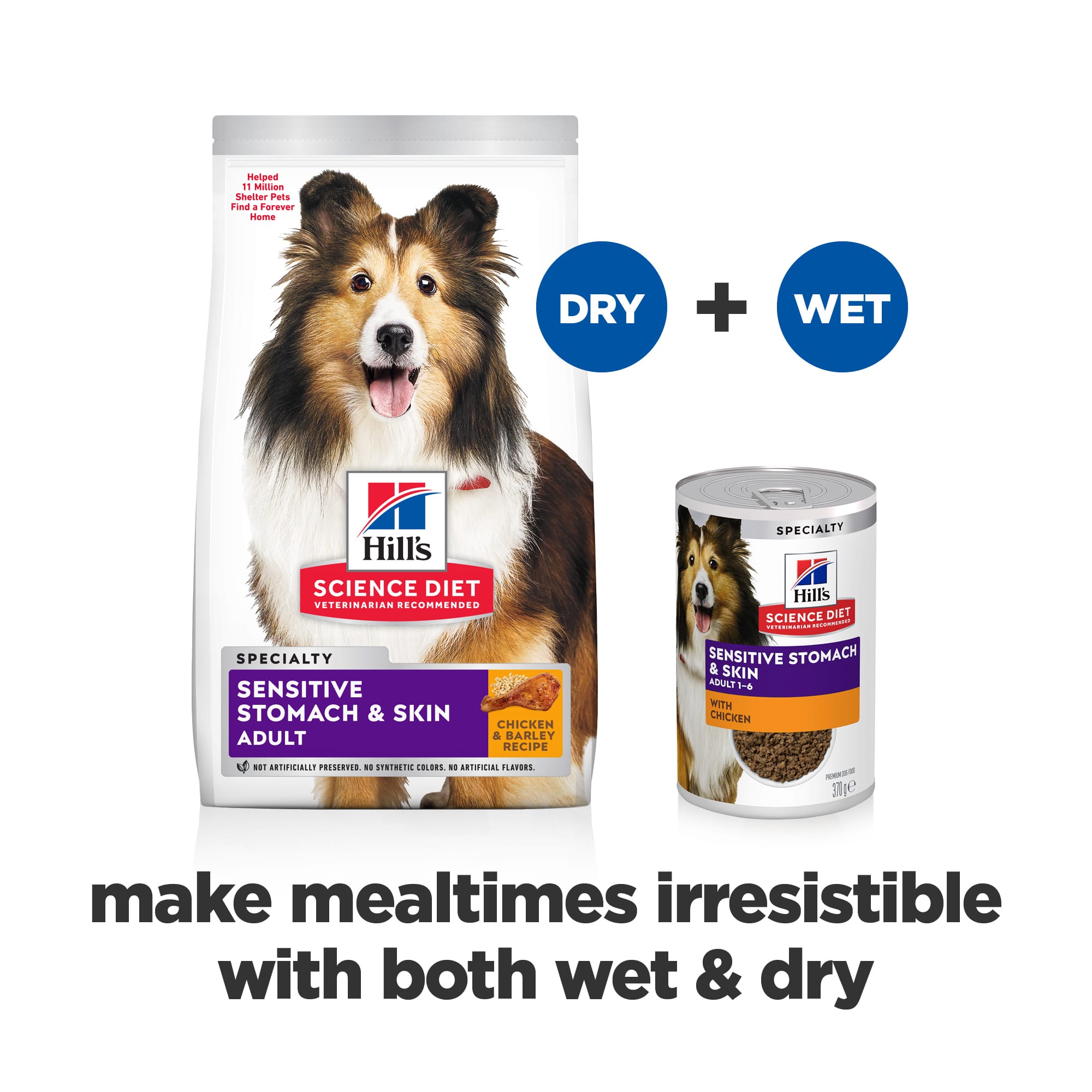 HILL_052742067674-13 hill's science diet adult sensitive stomach & skin with chicken canned wet dog food 370g