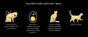 purina pro plan kitten liveclear chicken formula dry cat food