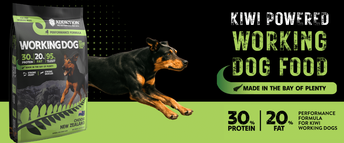 long newsletter banner (1200 x 500 px)