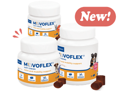 movoflex