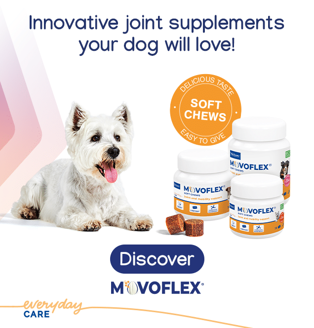 Movoflex Launch Campaign_Eshop Banner636x664_B2C_2022 movoflex soft chews joint and mobility support for dogs 30 pack