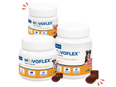movoflex promo tile