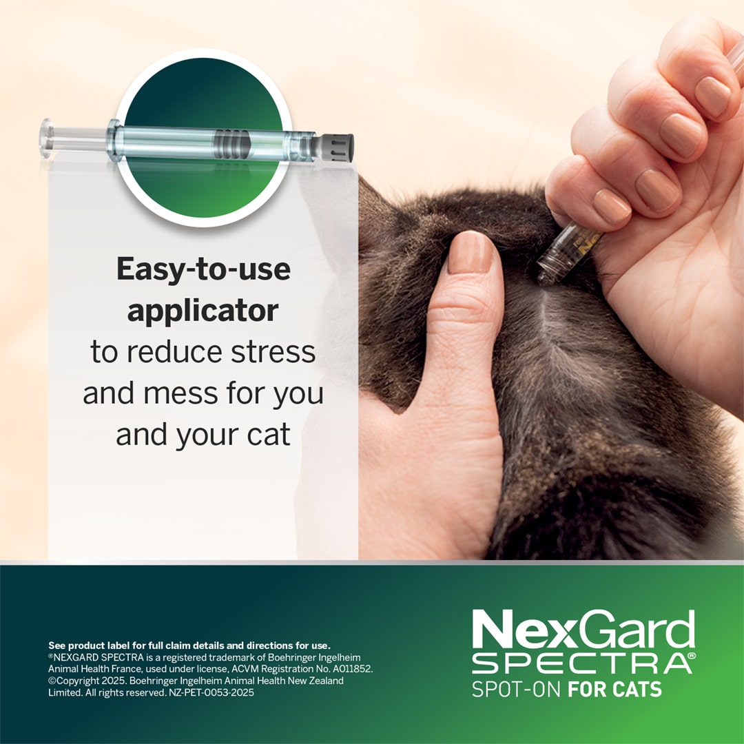 NGS_NZ_Cat_3 nexgard spectra for small cats (0.8 2.4kg)