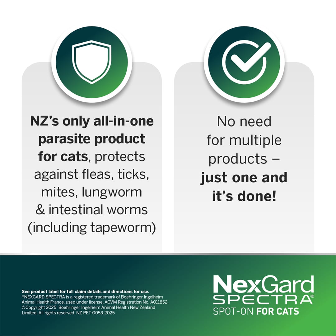 NGS_NZ_Cat_4 nexgard spectra for small cats (0.8 2.4kg)