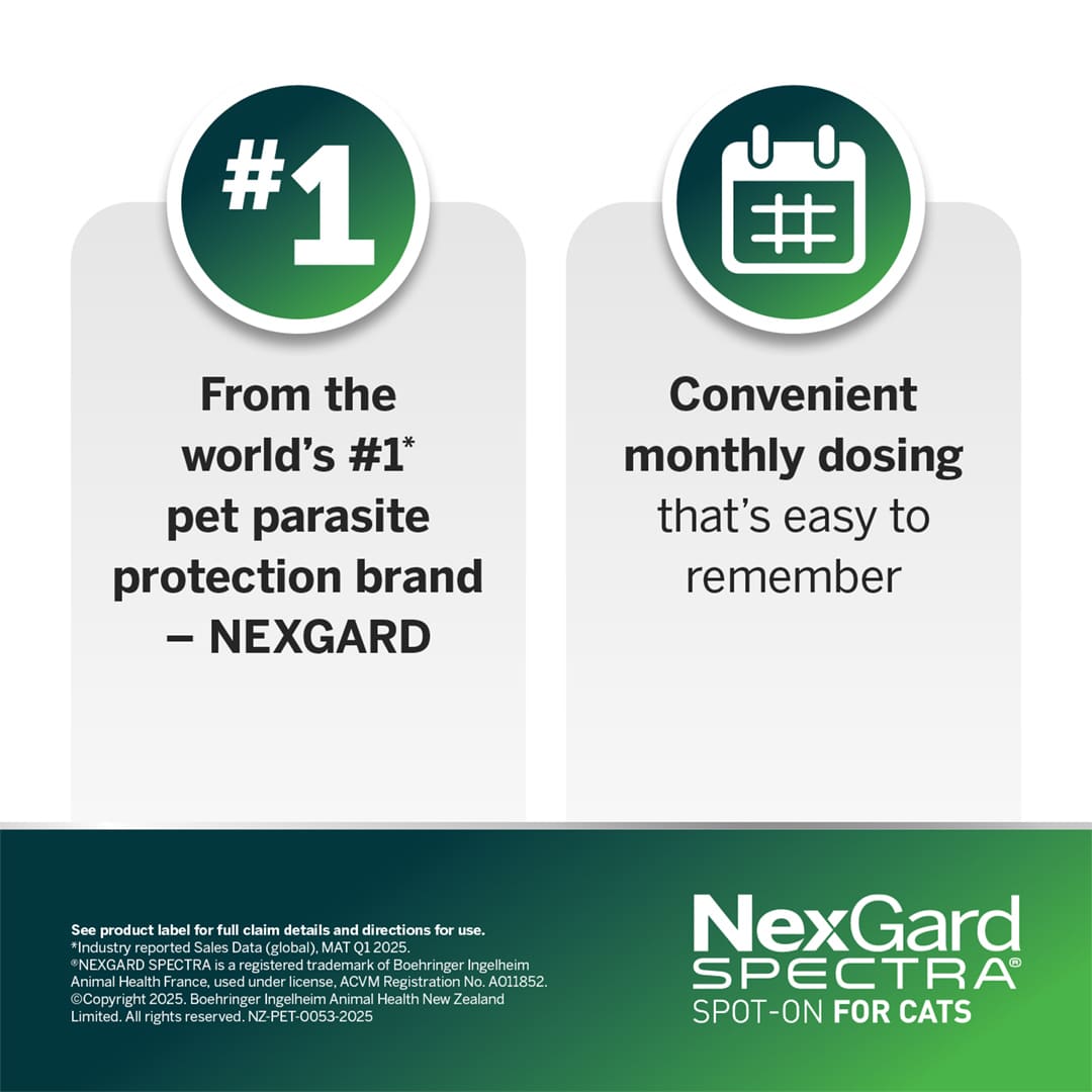 NGS_NZ_Cat_5 nexgard spectra for small cats (0.8 2.4kg)