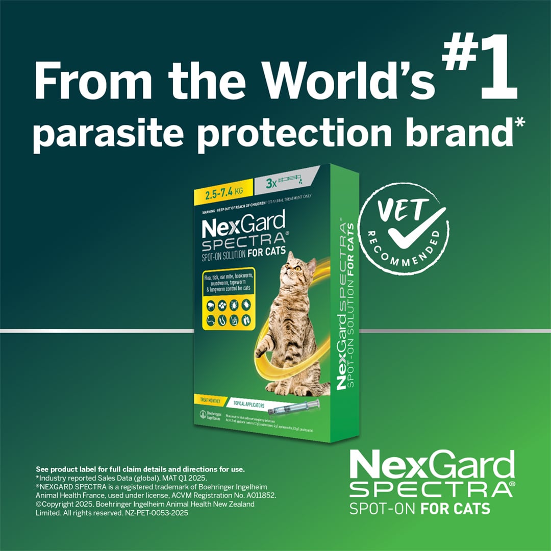 NGS_NZ_Cat_7 nexgard spectra for large cats (2.5 7.4kg)