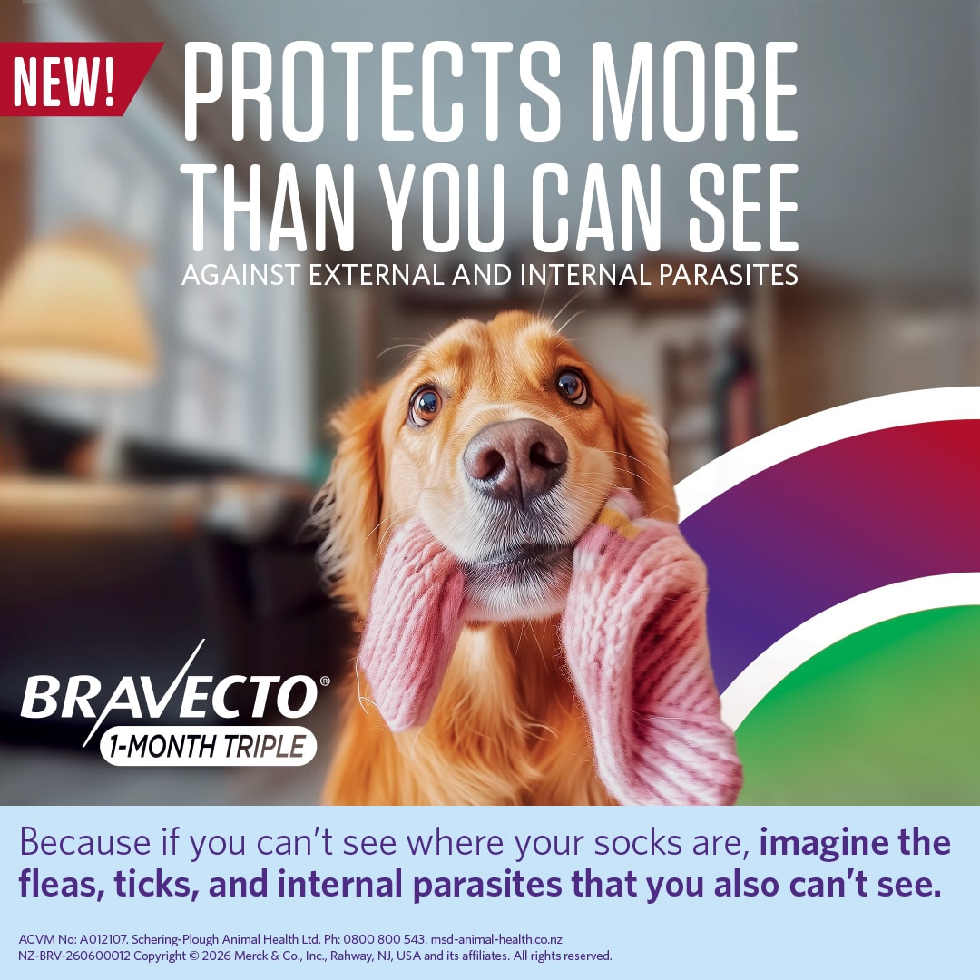 NZ_BRV_PO_B1MT-online-retail-tiles_0626_NZ-(v0.1) bravecto 1 month triple chew for dogs