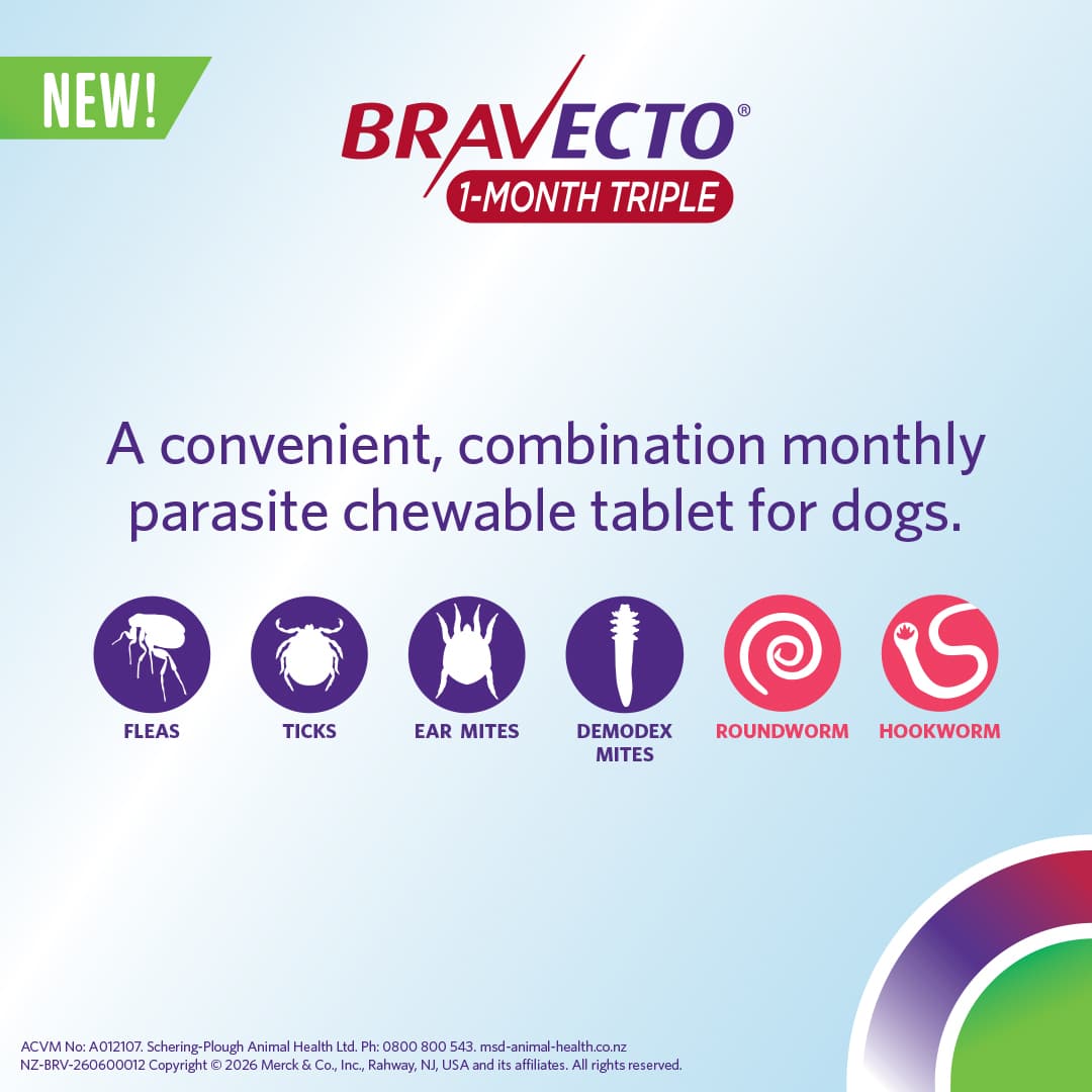 NZ_BRV_PO_B1MT-online-retail-tiles_0626_NZ-(v0.1)2 bravecto 1 month triple chew for dogs