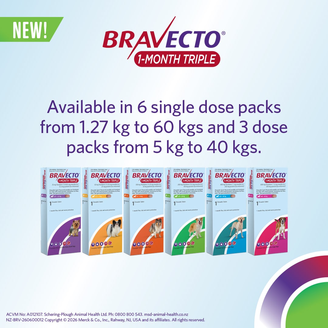 NZ_BRV_PO_B1MT-online-retail-tiles_0626_NZ-(v0.1)4 bravecto 1 month triple chew for dogs