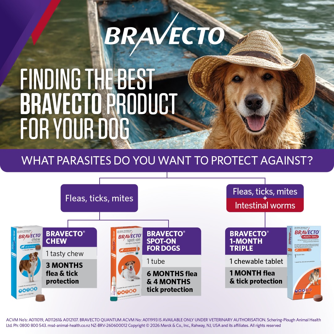 NZ_BRV_PO_B1MT-online-retail-tiles_0626_NZ-(v0.1)5 bravecto 1 month triple chew for dogs