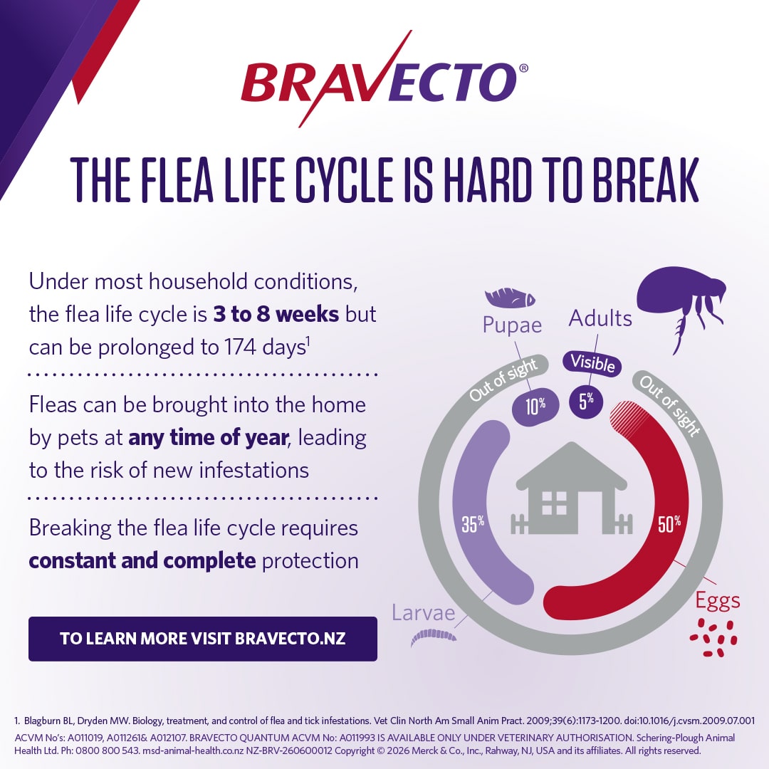 NZ_BRV_PO_B1MT-online-retail-tiles_0626_NZ-(v0.1)6 bravecto 1 month triple chew for dogs